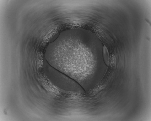 X0000102800916200808181157