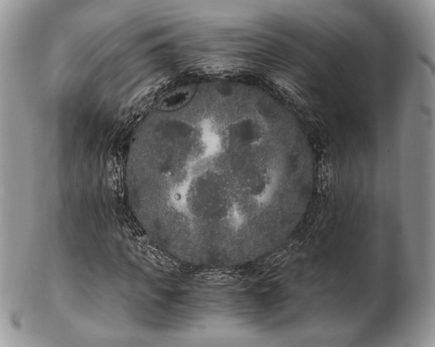 X0000102800917200808181157