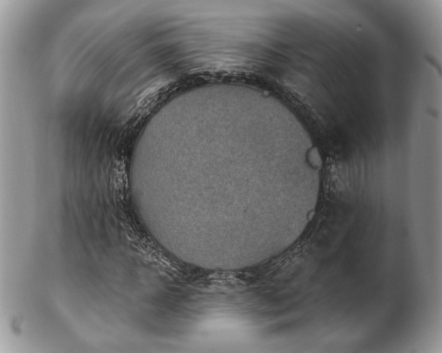 X0000102800918200808181157