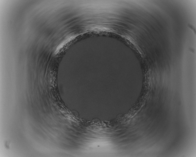 X0000102800919200808181157