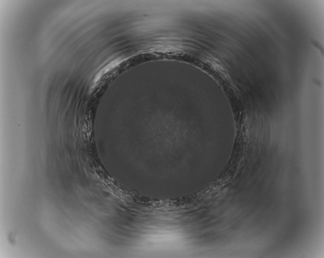X0000102800920200808181157