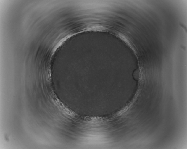 X0000102800923200808181157