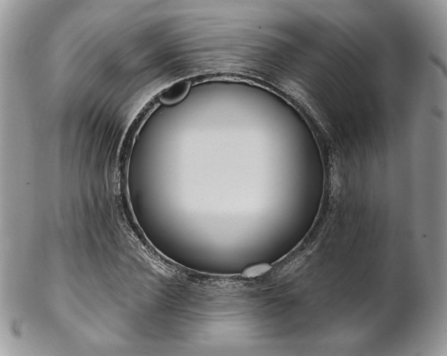 X0000102800924200808181157