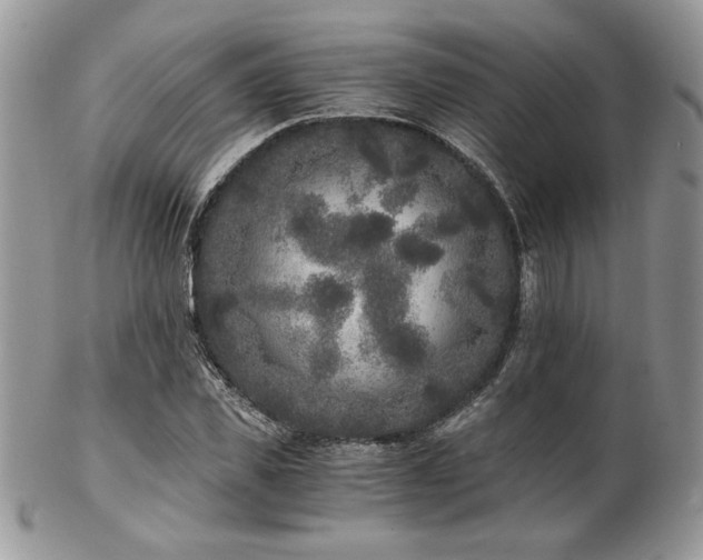 X0000102800925200808181157
