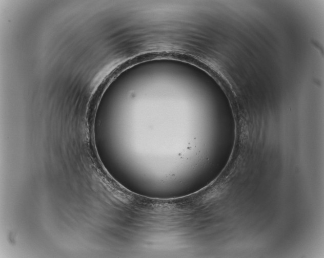 X0000102800927200808181157