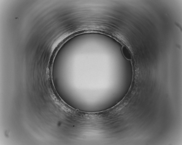 X0000102800928200808181157
