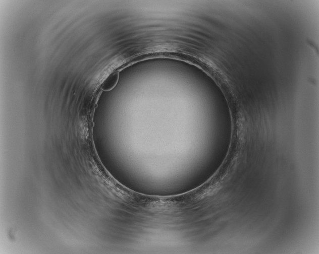 X0000102800929200808181157