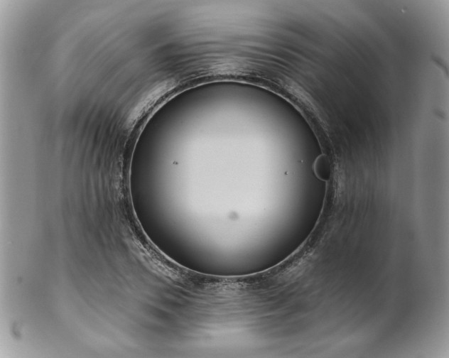 X0000102800930200808181157