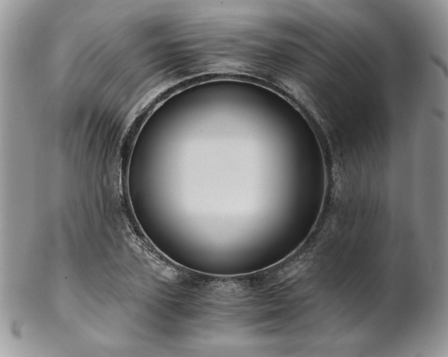 X0000102800931200808181157