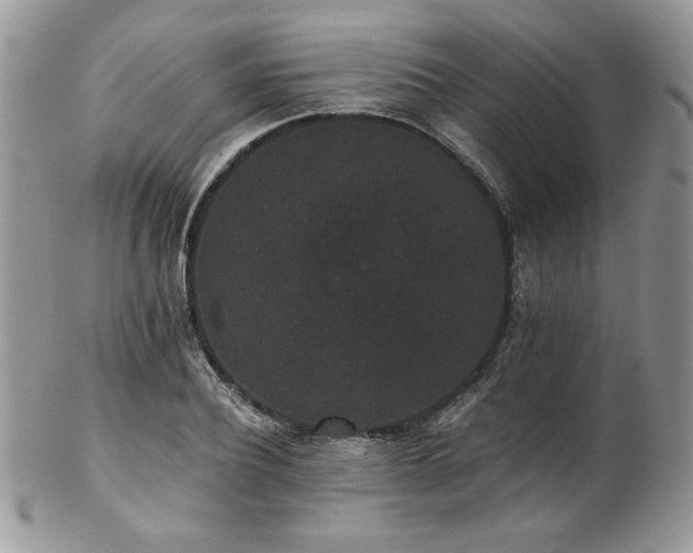 X0000102800932200808181157