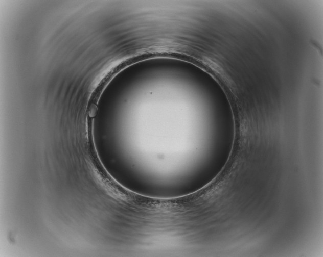 X0000102800934200808181157