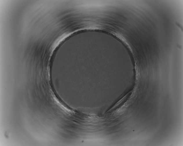 X0000102800935200808181157