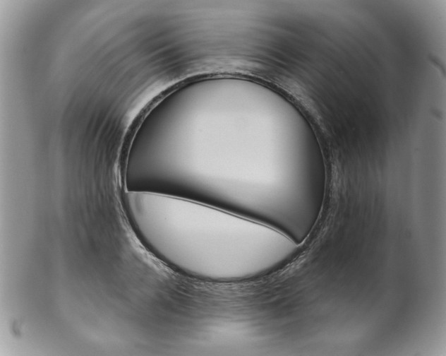 X0000102800936200808181157