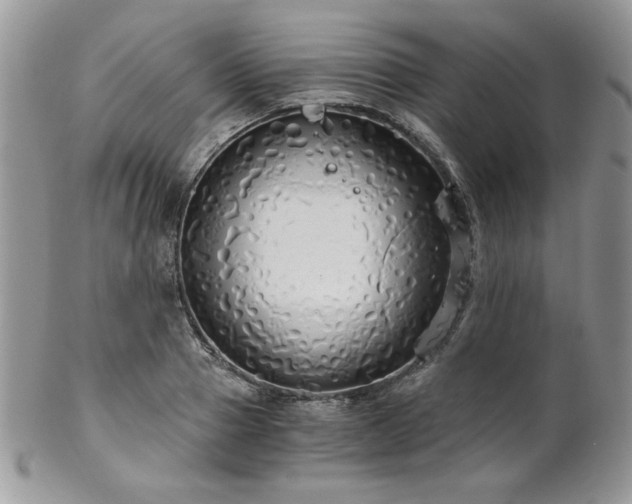 X0000102800937200808181157