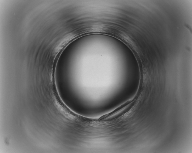 X0000102800938200808181157