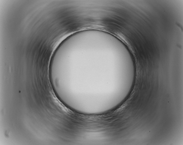 X0000102800940200808181157