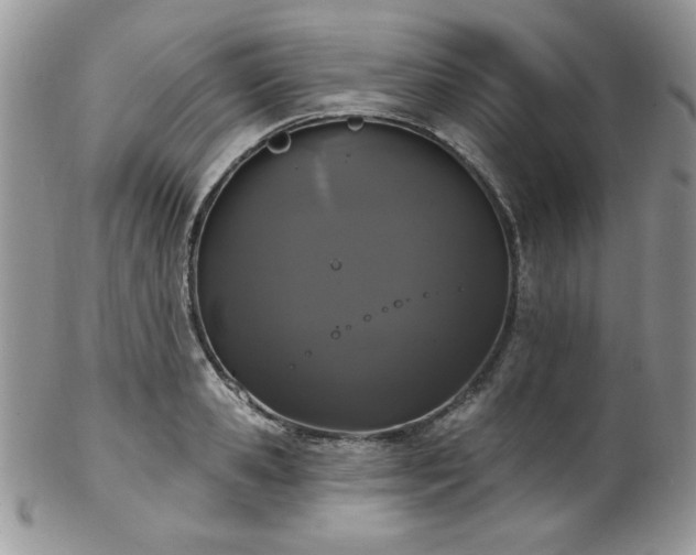 X0000102800941200808181158