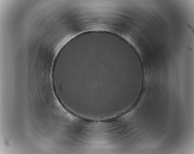 X0000102800943200808181158
