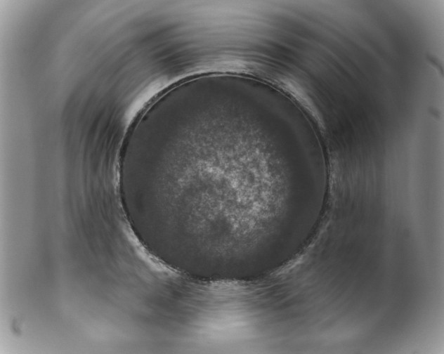 X0000102800944200808181158