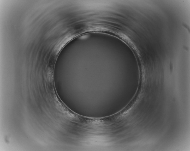 X0000102800945200808181158