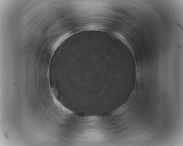 X0000102800946200808181158