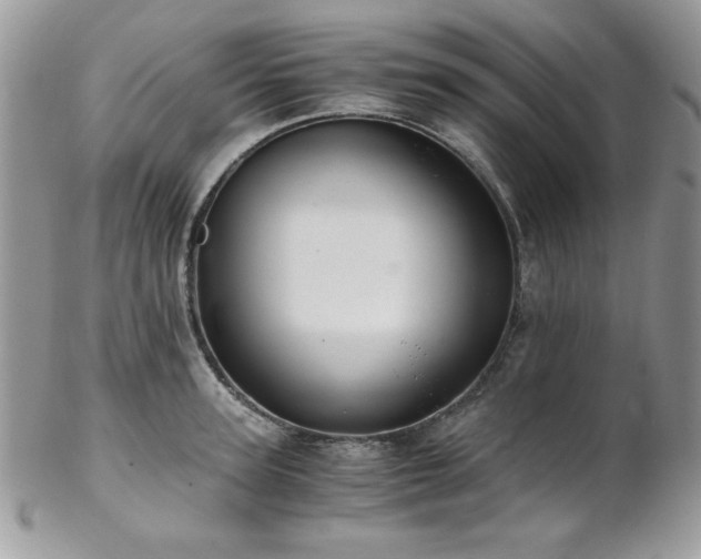 X0000102800947200808181158