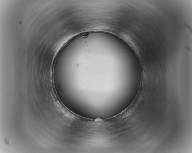 X0000102800948200808181158