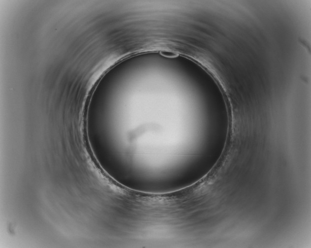 X0000102800949200808181158