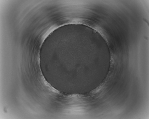 X0000102800950200808181158