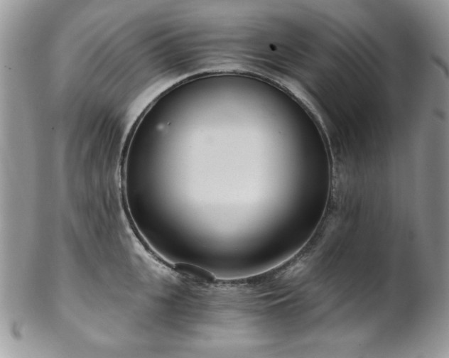 X0000102800951200808181158