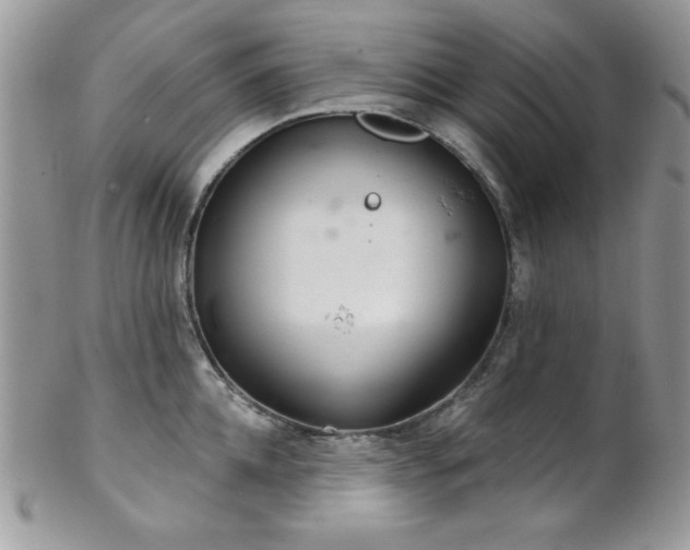 X0000102800952200808181158