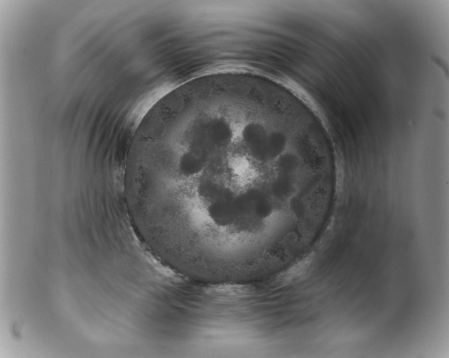 X0000102800953200808181158