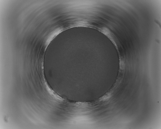 X0000102800954200808181158