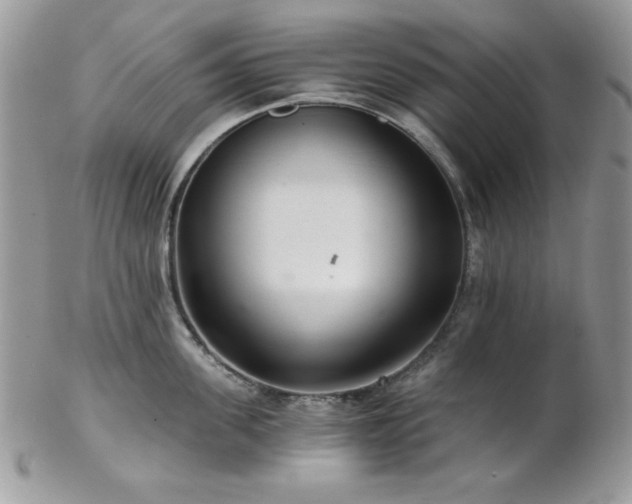 X0000102800955200808181158
