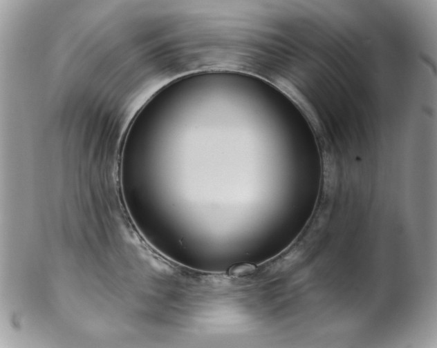 X0000102800956200808181158