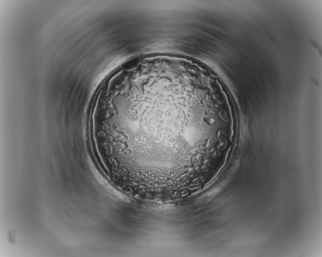 X0000102800957200808181158