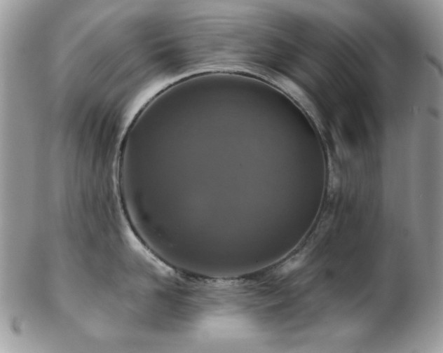 X0000102800958200808181158