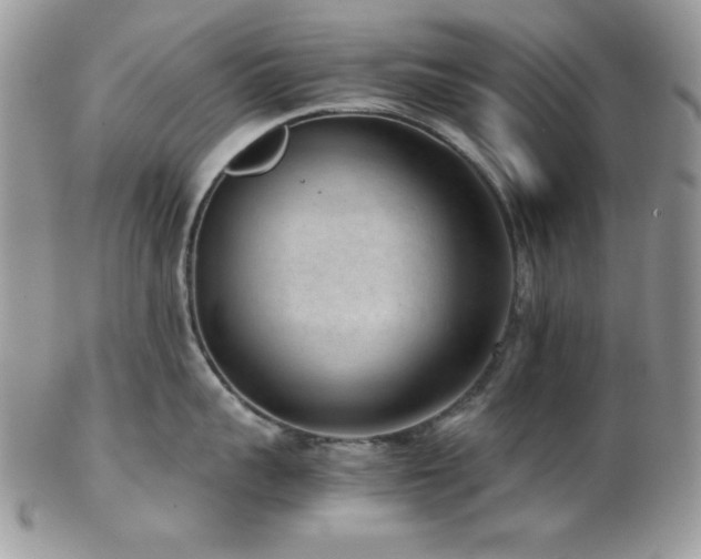 X0000102800959200808181158