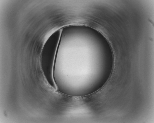 X0000102800960200808181158