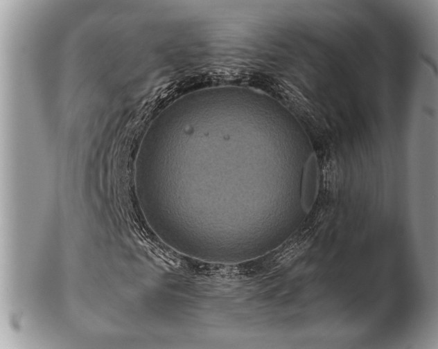 X0000102800961200808181157