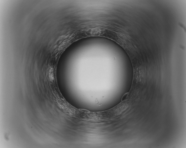 X0000102800962200808181157