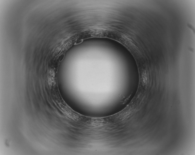 X0000102800964200808181157