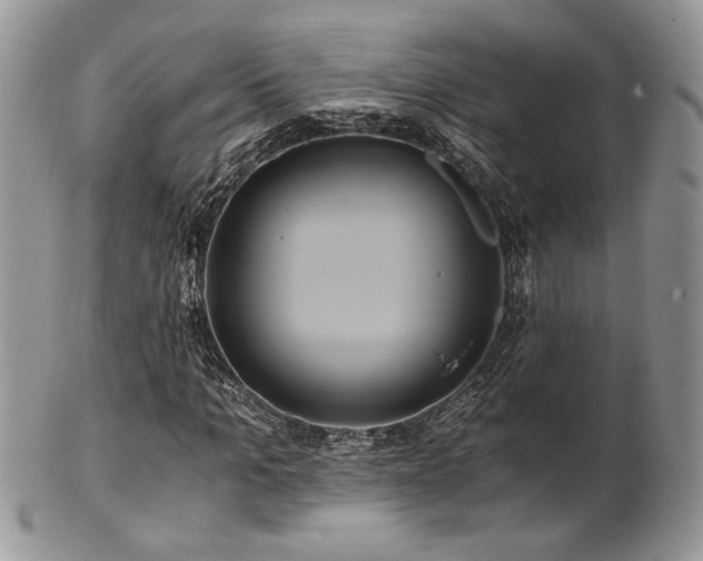 X0000102800965200808181157