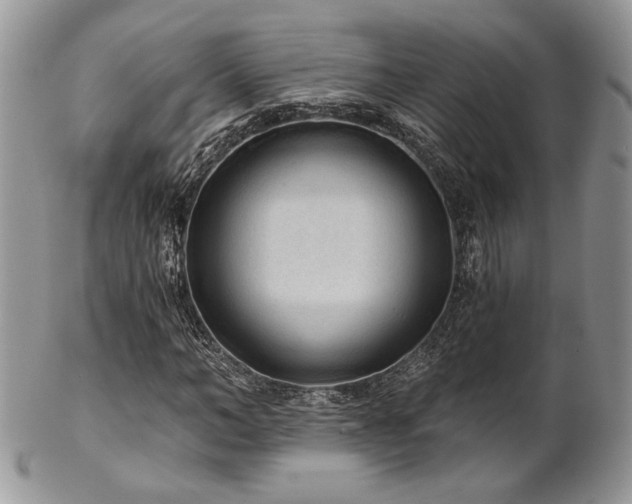 X0000102800966200808181157