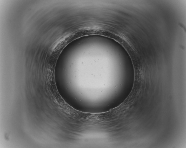 X0000102800967200808181157