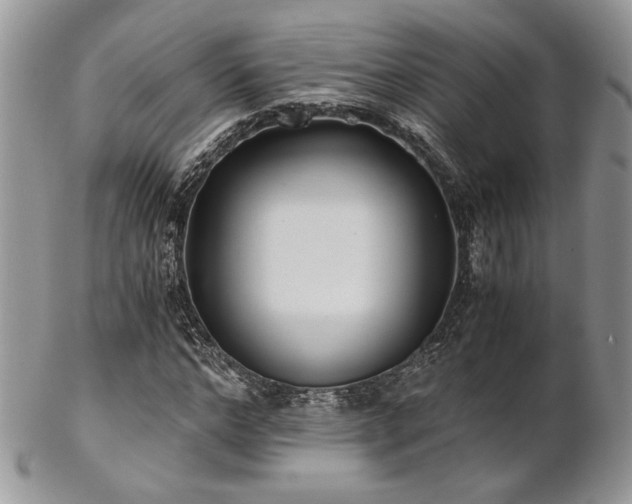 X0000102800968200808181157