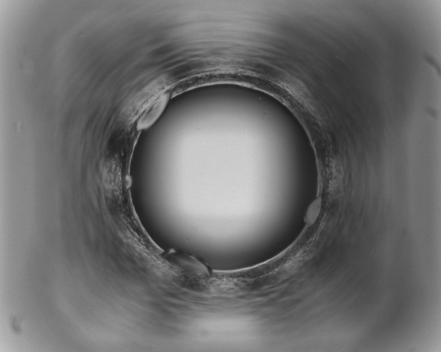 X0000102800969200808181157