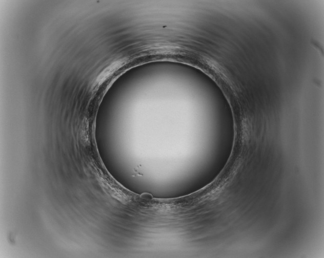 X0000102800970200808181157