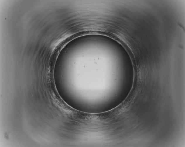 X0000102800971200808181157