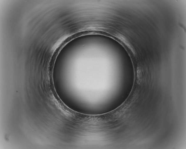 X0000102800972200808181157